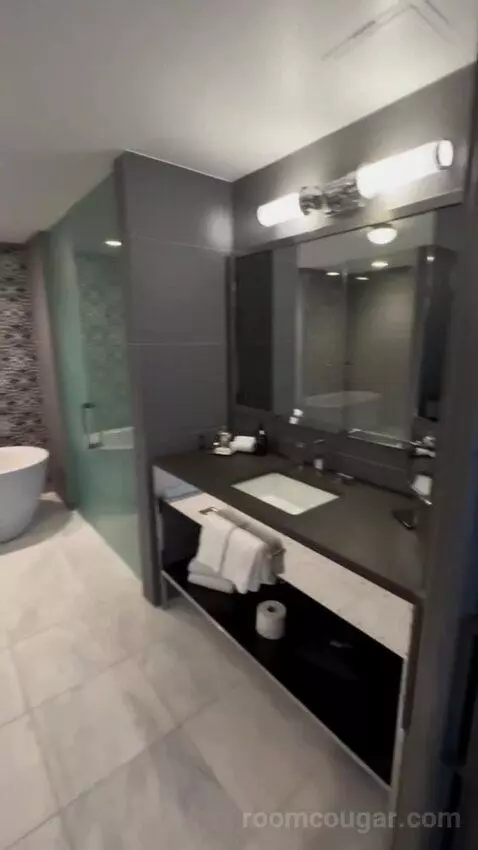 Presidential Suite bathroom picture #7