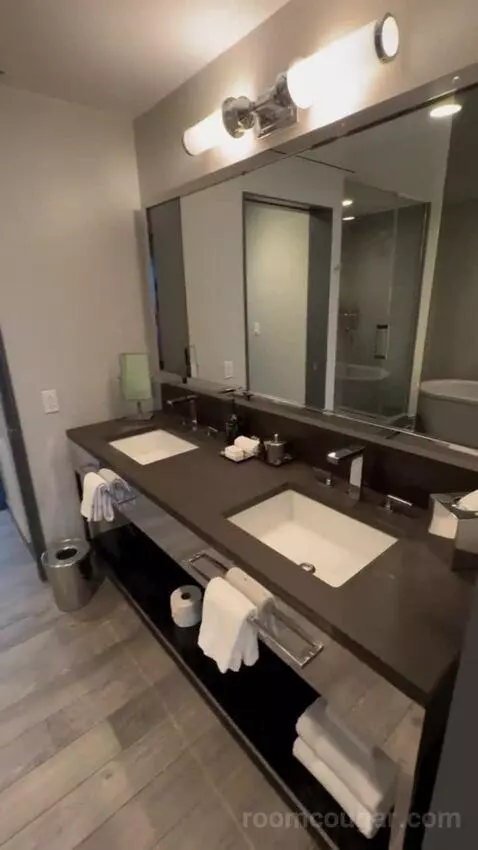 One-Bedroom Suite bathroom picture #5