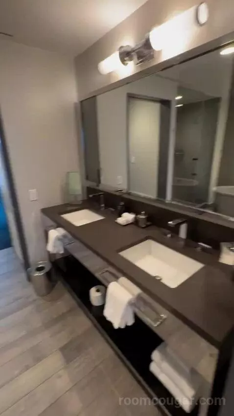 One-Bedroom Suite bathroom picture #6