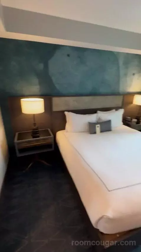 One-Bedroom Suite bed picture #9