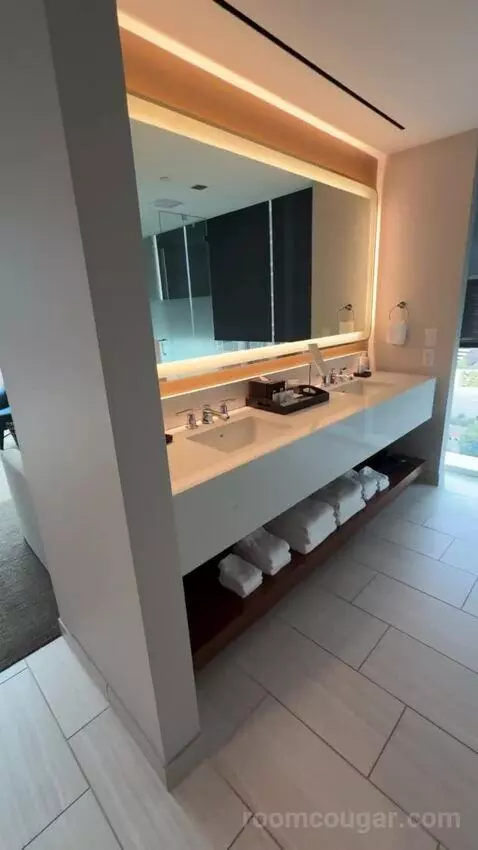 Museum Suite bathroom picture #3