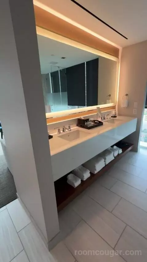 Museum Suite bathroom picture #4