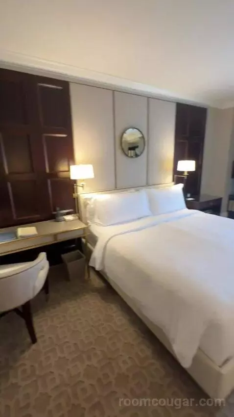 Deluxe King Room bed picture #2