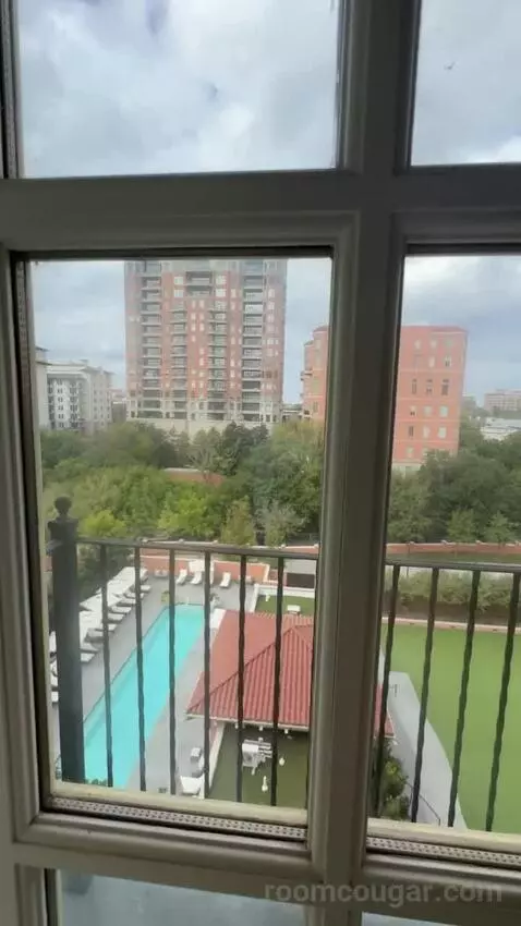 Deluxe King Room view picture #8
