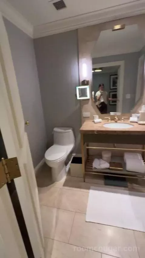 Deluxe King Room bathroom picture #3