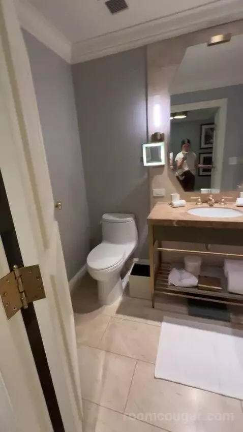 Deluxe King Room bathroom picture #4