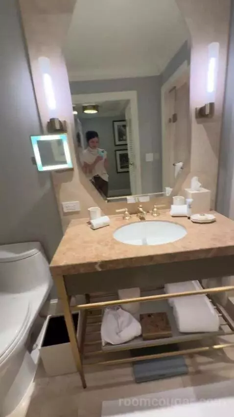Deluxe King Room bathroom picture #8