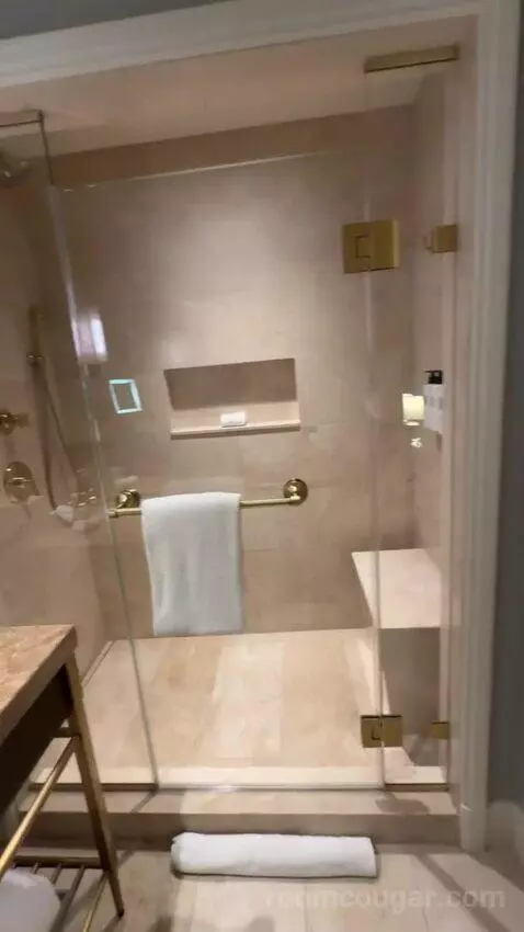 Deluxe King Room bathroom picture #9