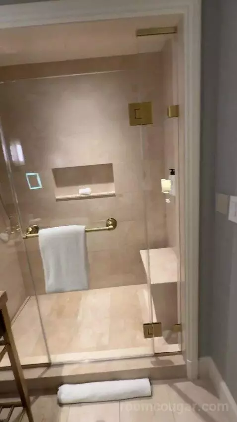 Deluxe King Room bathroom picture #10