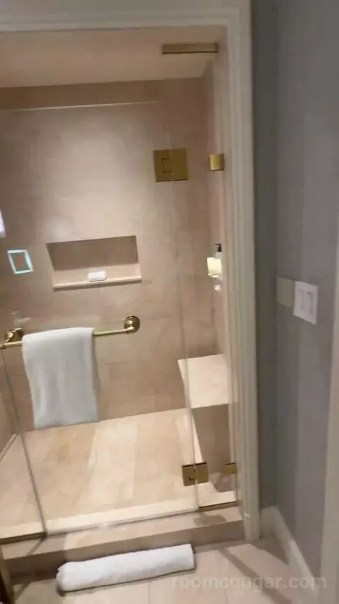 Deluxe King Room bathroom picture #11