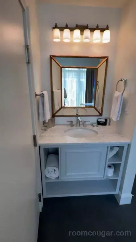 Premiere Pool View bathroom picture #1