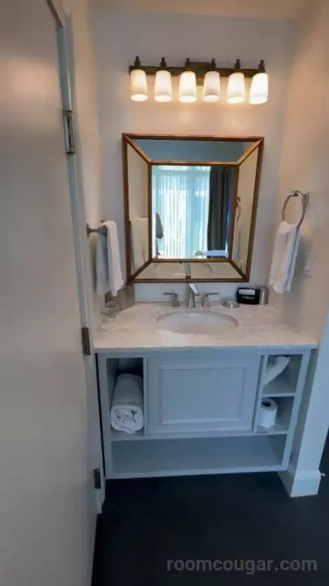 Premiere Pool View bathroom picture #2