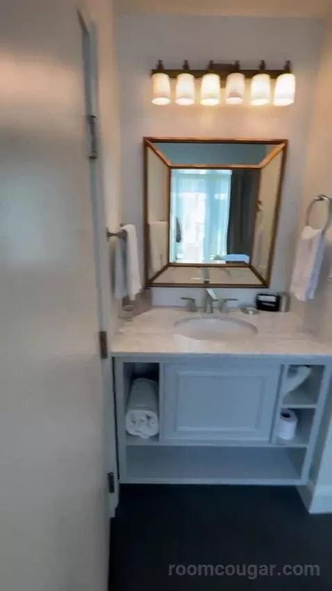 Premiere Pool View bathroom picture #3