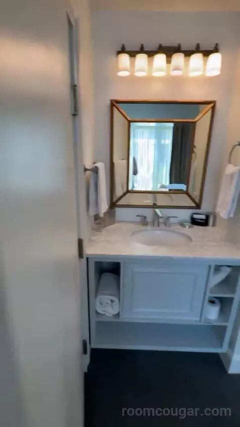 Premiere Pool View bathroom picture #4