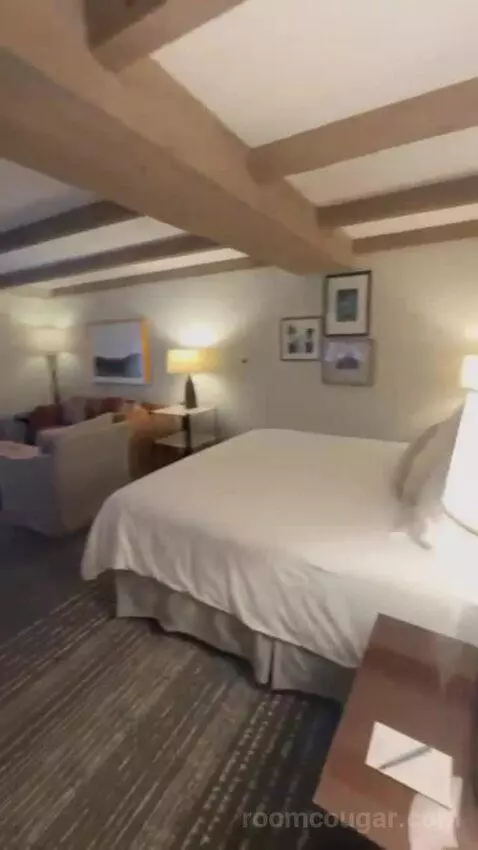 Premier Ambassador Rm 1 King with Private Balcony bed picture #3