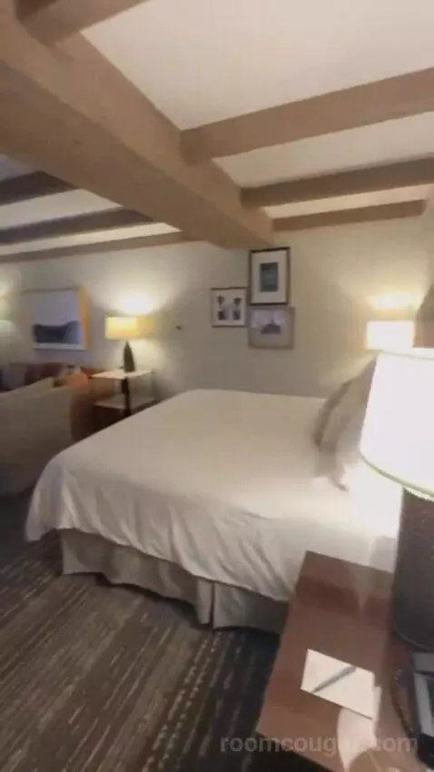 Premier Ambassador Rm 1 King with Private Balcony bed picture #4