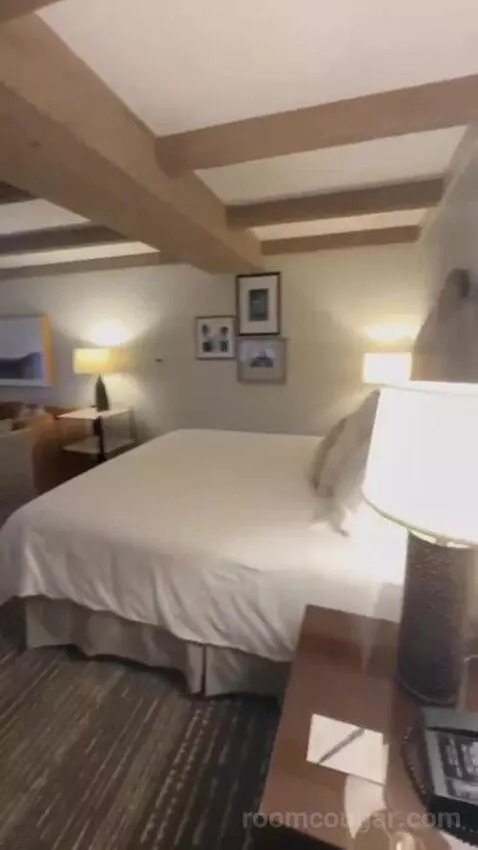 Premier Ambassador Rm 1 King with Private Balcony bed picture #5