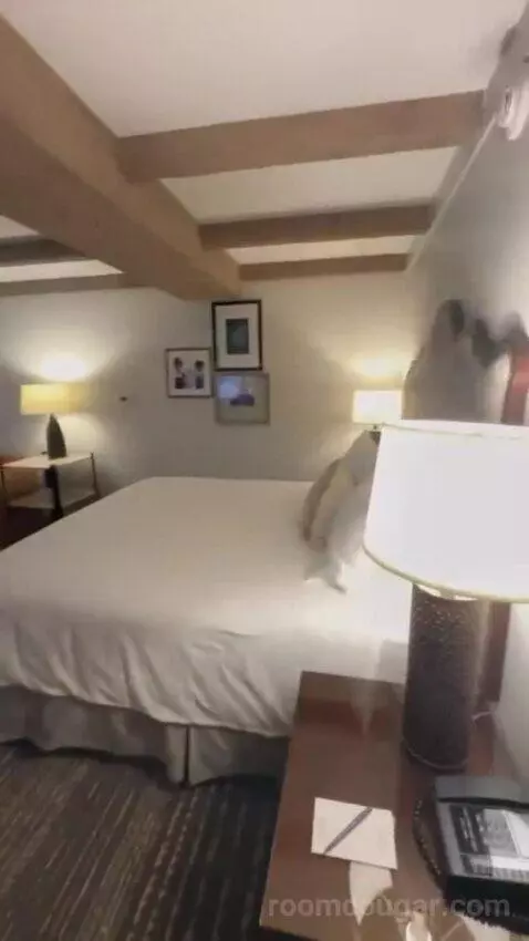 Premier Ambassador Rm 1 King with Private Balcony bed picture #6