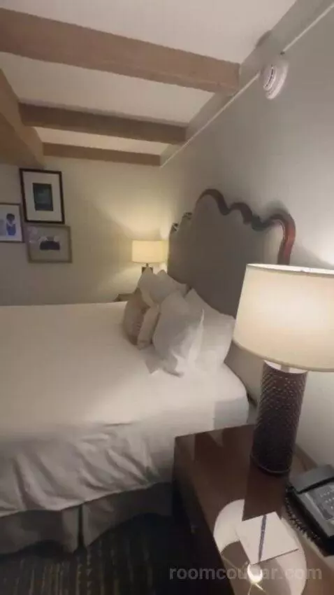 Premier Ambassador Rm 1 King with Private Balcony bed picture #7