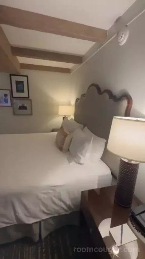 Premier Ambassador Rm 1 King with Private Balcony bed picture #8
