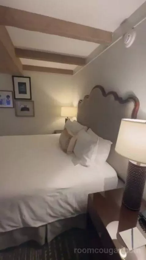 Premier Ambassador Rm 1 King with Private Balcony bed picture #9