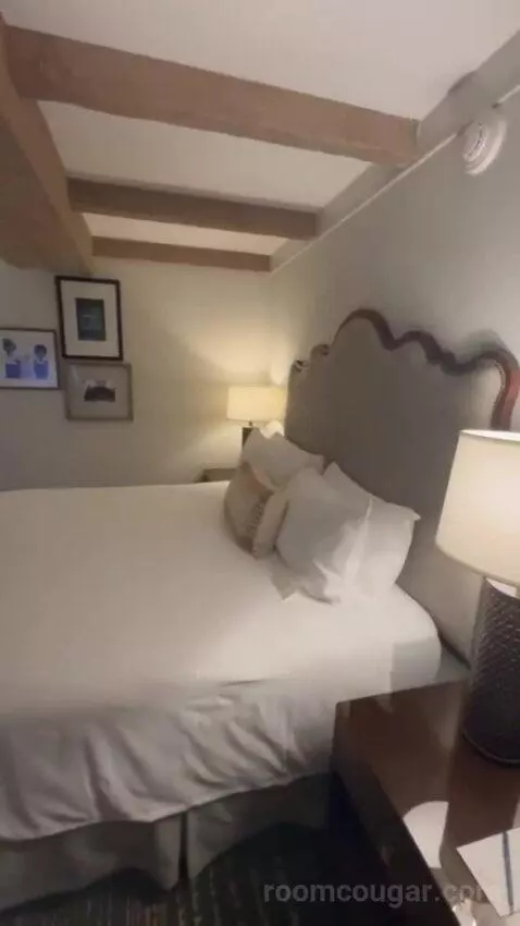 Premier Ambassador Rm 1 King with Private Balcony bed picture #10