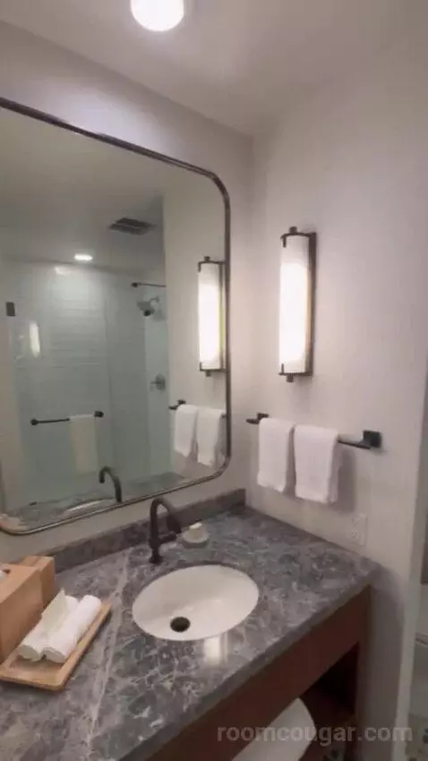 Premier Ambassador Rm 1 King with Private Balcony bathroom picture #2