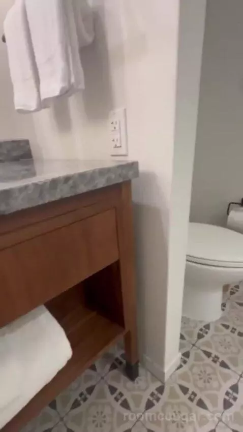 Premier Ambassador Rm 1 King with Private Balcony bathroom picture #4