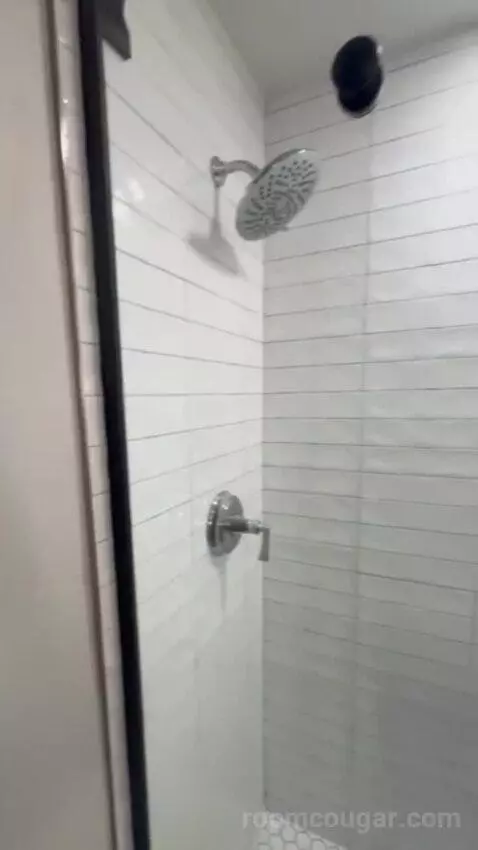Premier Ambassador Rm 1 King with Private Balcony bathroom picture #6
