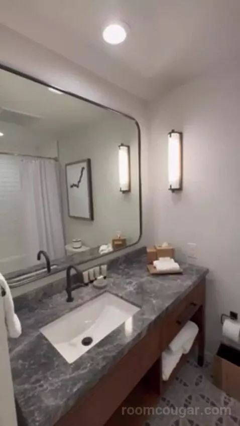 Premium Riverview Parlor Suite bathroom picture #2