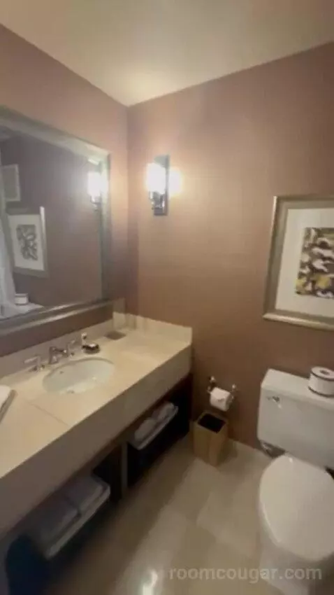 Luxury Suite Presidential 1 King Bed bathroom picture #5
