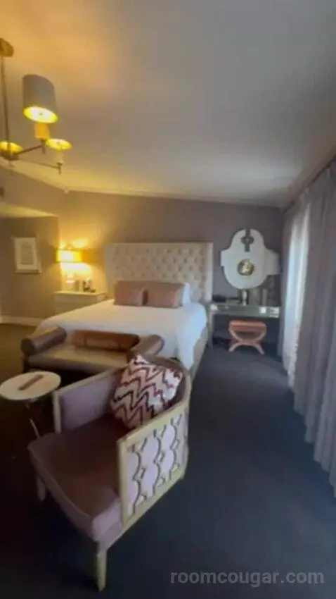 Luxury Suite Presidential 1 King Bed bed picture #1