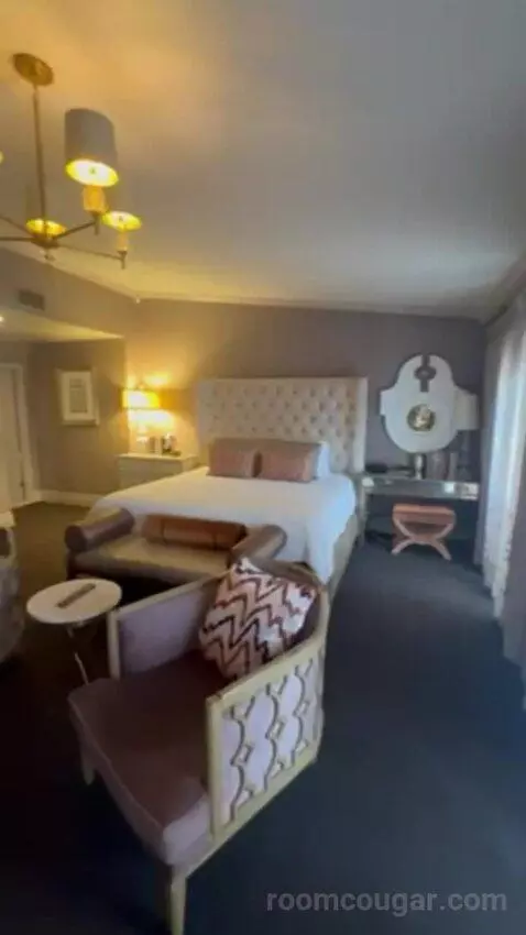 Luxury Suite Presidential 1 King Bed bed picture #2