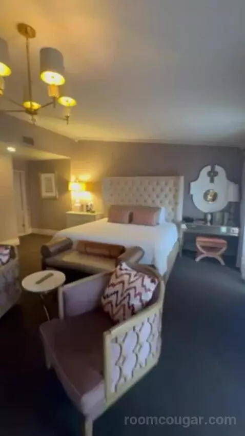 Luxury Suite Presidential 1 King Bed bed picture #3