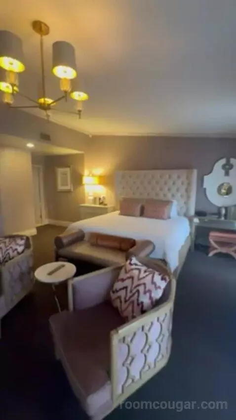 Luxury Suite Presidential 1 King Bed bed picture #4