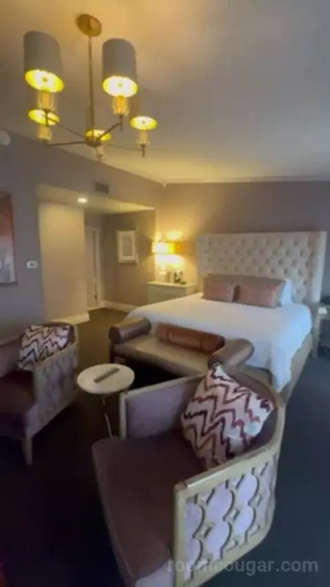 Luxury Suite Presidential 1 King Bed bed picture #6