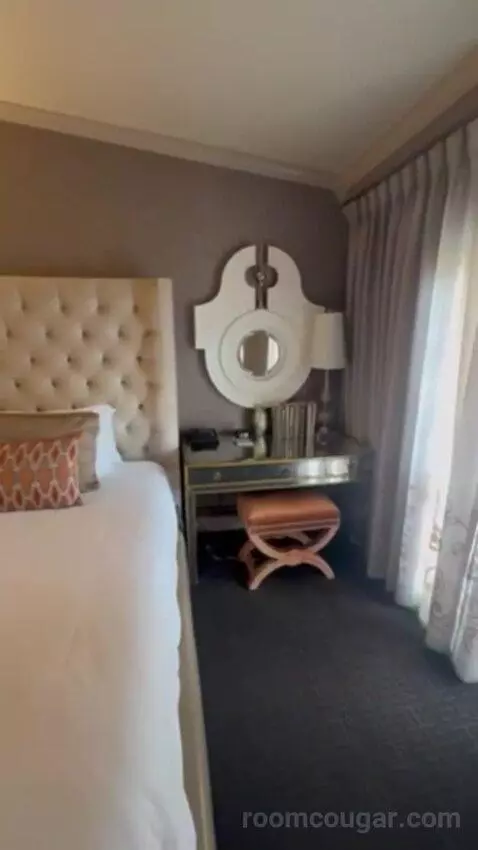 Luxury Suite Presidential 1 King Bed bed picture #7