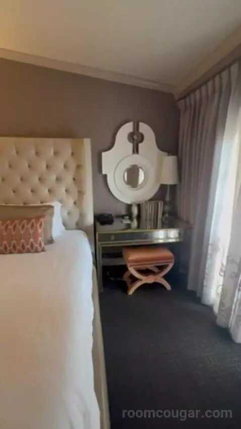 Luxury Suite Presidential 1 King Bed bed picture #8