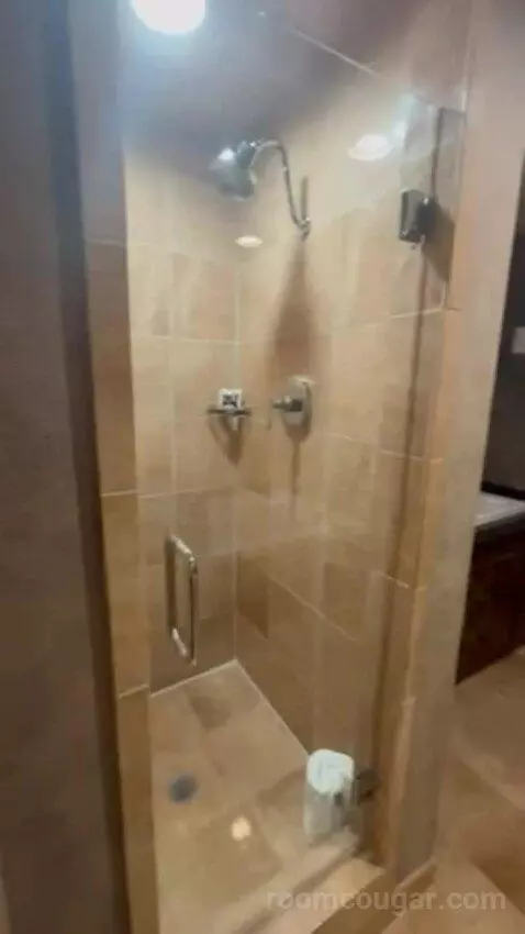 Luxury Suite Presidential 1 King Bed bathroom picture #7