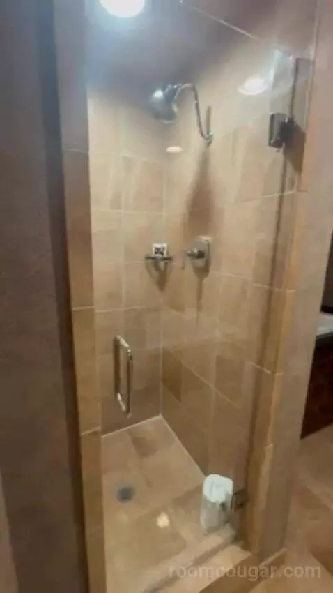 Luxury Suite Presidential 1 King Bed bathroom picture #8