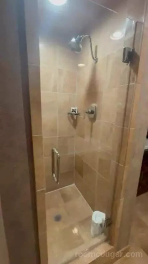 Luxury Suite Presidential 1 King Bed bathroom picture #9