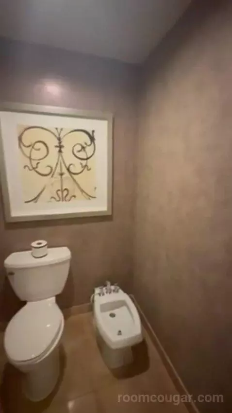 Luxury Suite Presidential 1 King Bed bathroom picture #10