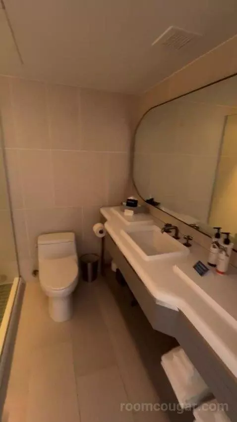 Double Room bathroom picture #1