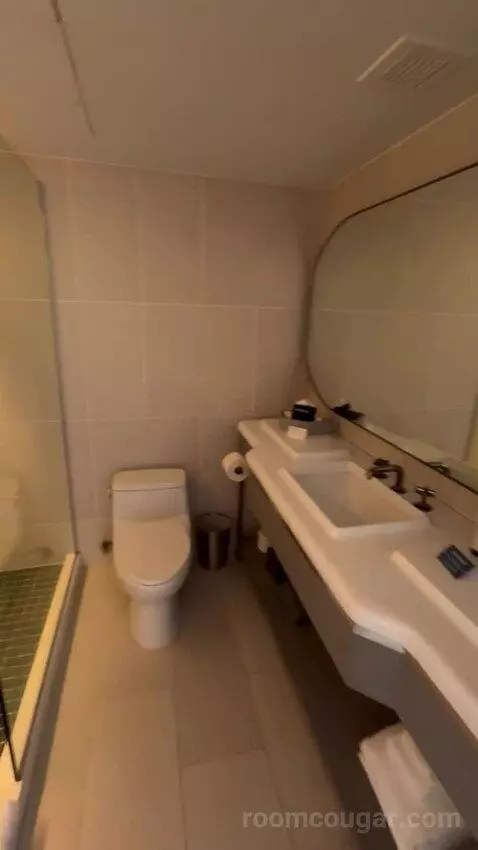 Double Room bathroom picture #2