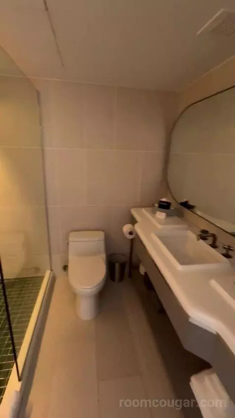 Double Room bathroom picture #3