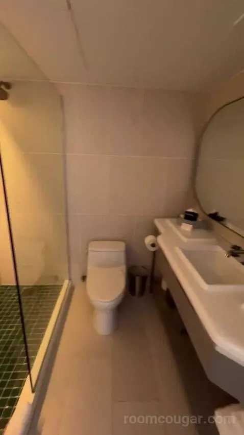 Double Room bathroom picture #4