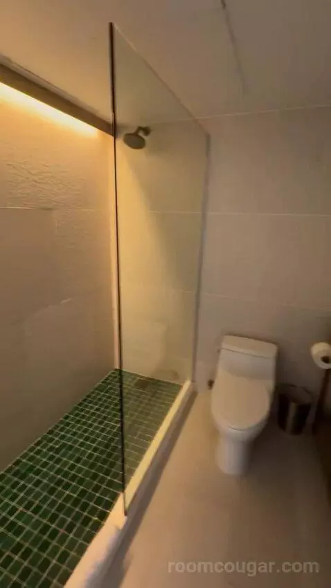 Double Room bathroom picture #5