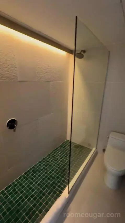 Double Room bathroom picture #8
