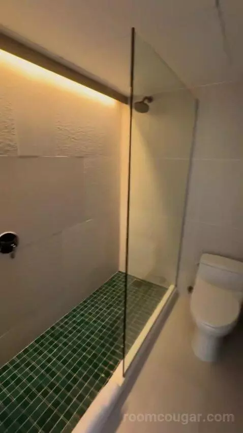 Double Room bathroom picture #10