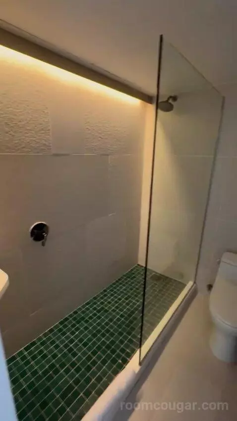 Double Room bathroom picture #12